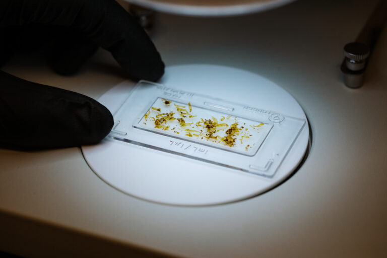 research_support_program_lab_photo5