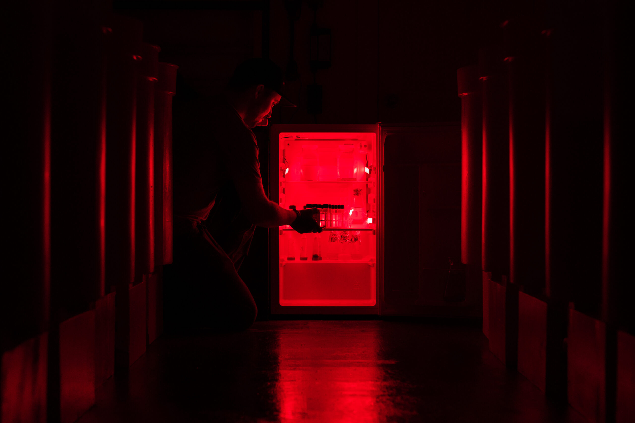 research_support_case_study1