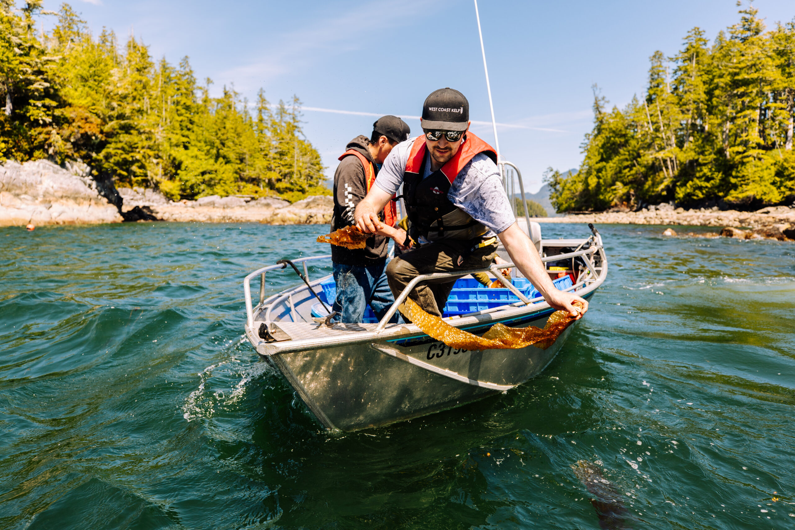 kelp_restoration2