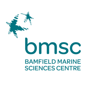 bmsc-logo