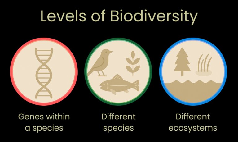 levels-of-biodiversity