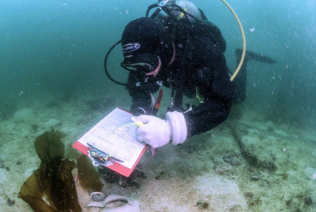 Diver underwater recording data while monitoring kelp growth on the seafloor